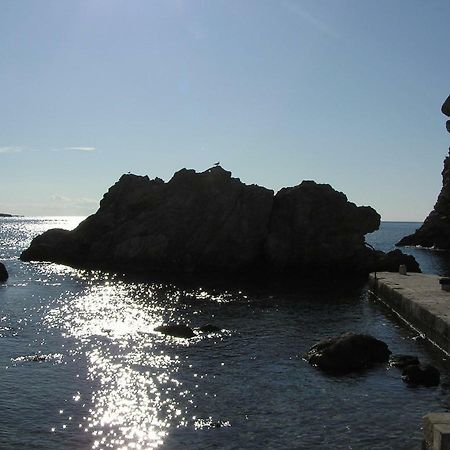 Comfortable 3* Apartment Lapad Center Dubrovnik Exteriör bild